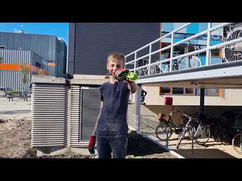 Groen schoolplein Teylingen College Leeuwenhorst